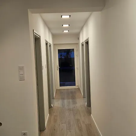 Emerald Grove شيوفوك